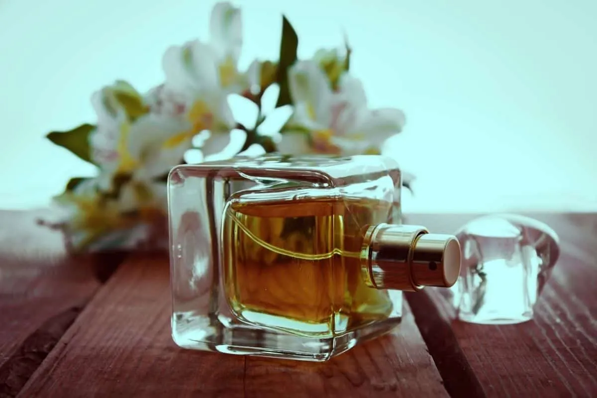 18 Woody Colognes You'll Love