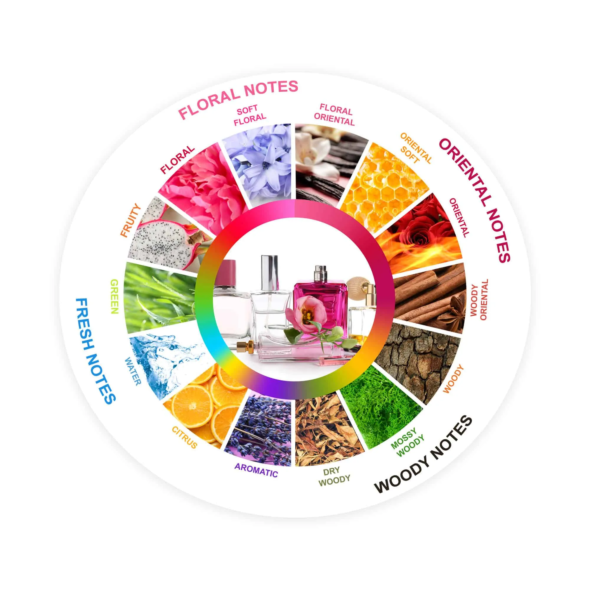 The Fragrance Wheel: 4 Main Perfume Families Explained