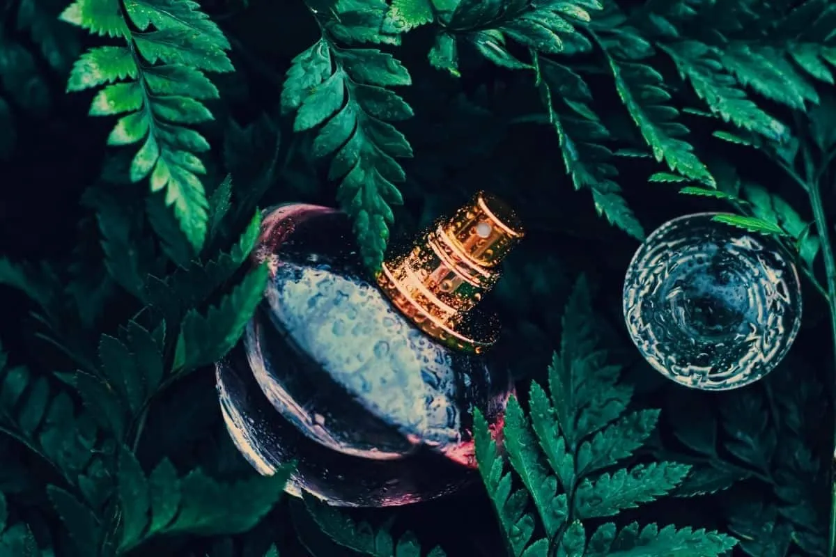Perfumes That Smell Like Rain