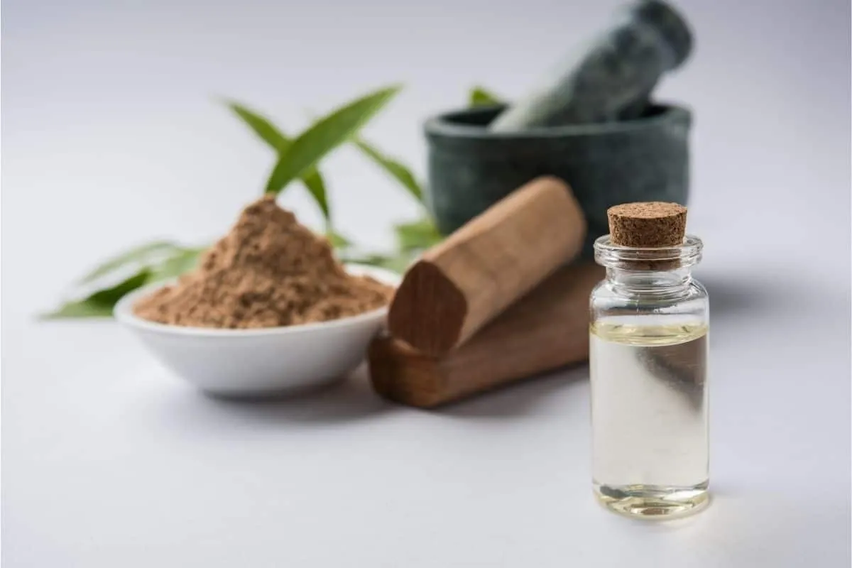 Great Cologne That Smells Like Sandalwood