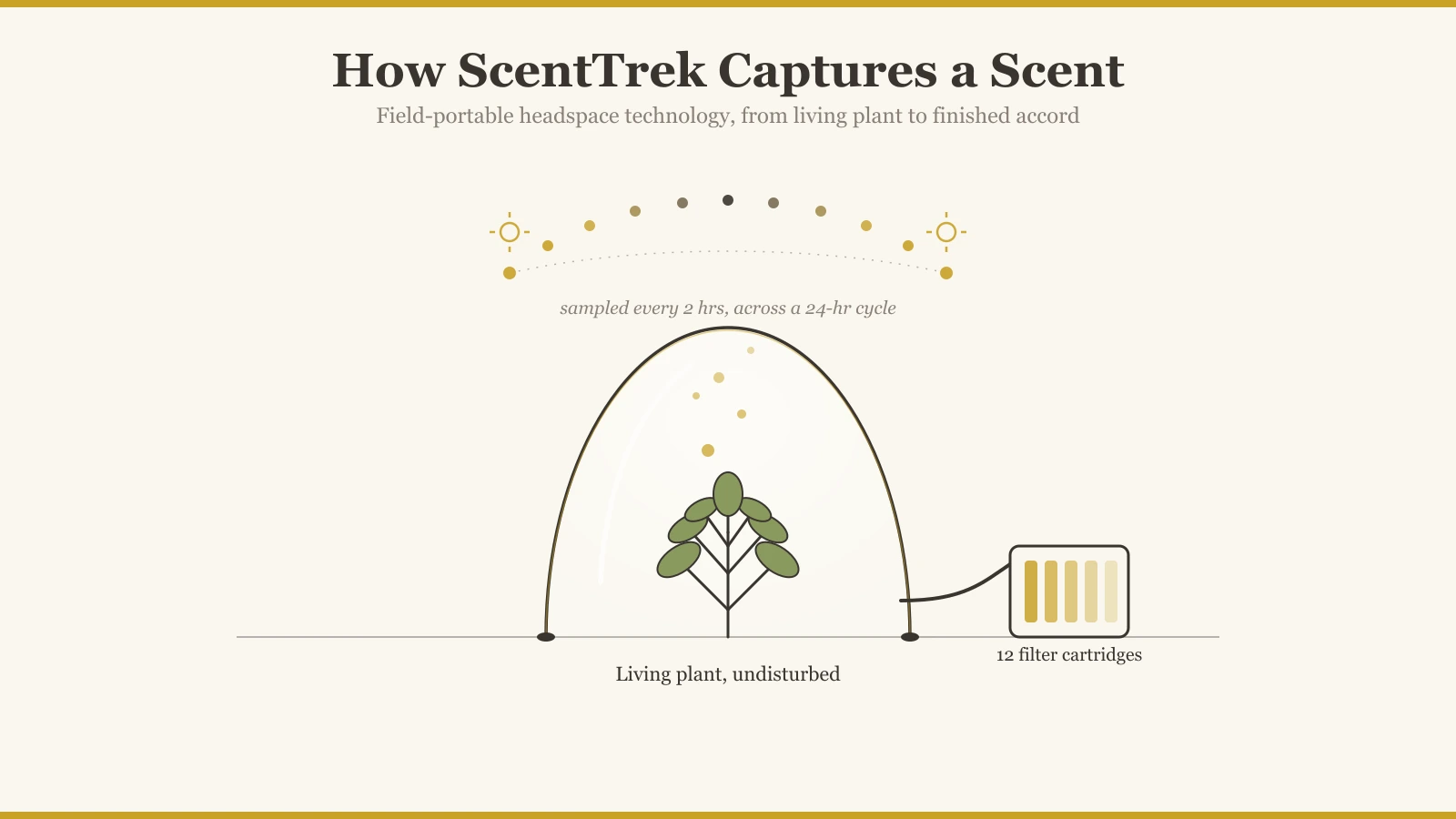 What Is ScentTrek? How Perfumers Capture a Living Plant's Scent