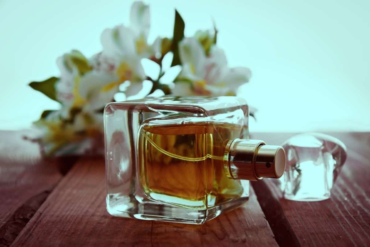 18 Woody Colognes You'll Love