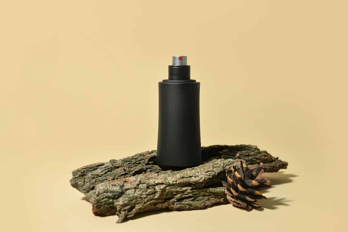 19 Woody Perfumes You'll Love