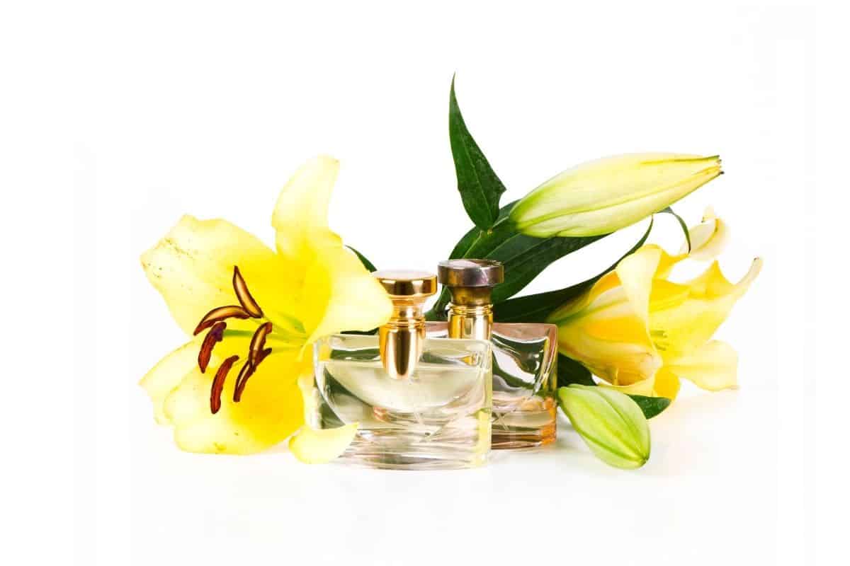 Gorgeously Fragrant Perfumes That Smell Like Sunscreen