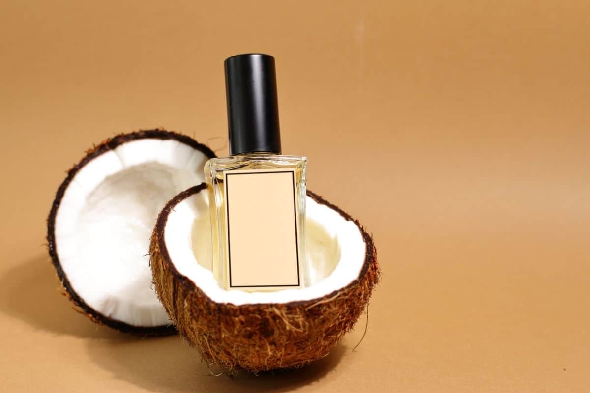 Stunningly Fragrant Perfume That Smells Like Coconut