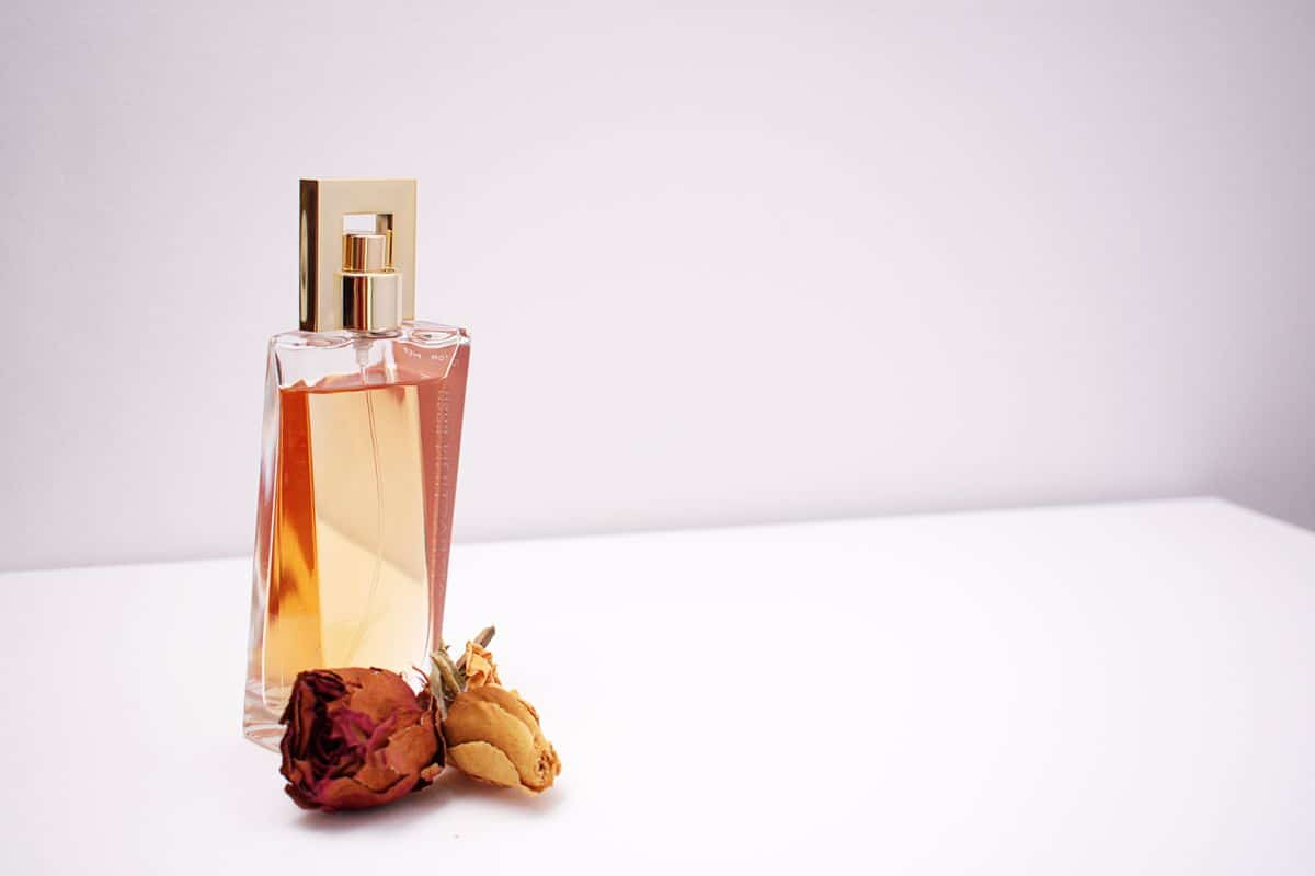 What Does Gucci Memoire Smell Like? [And When To Wear It]