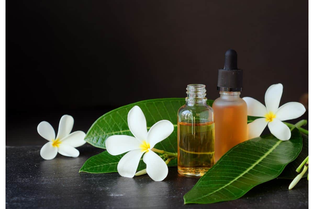 What Ingredient Makes Perfumes Last?