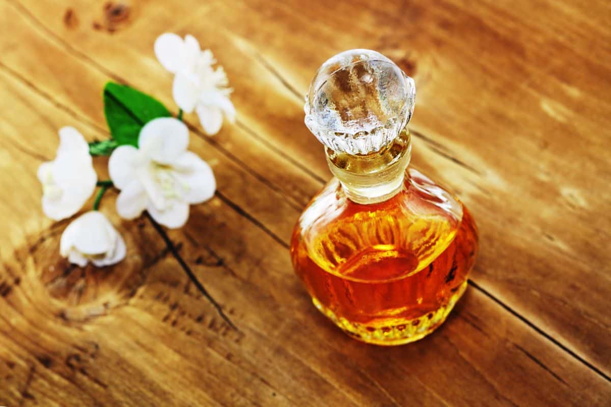 Why Is Perfume So Expensive?